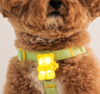 [毛孩!] LED夜燈Jelly Bear熊仔狗帶