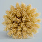 [安心實用]韓國清潔蔬果