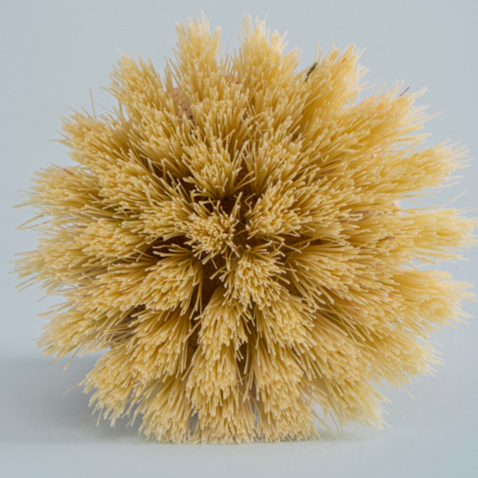 [安心實用]韓國清潔蔬果