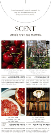 [權志龍同款]Hetras雛菊擴香(2瓶)