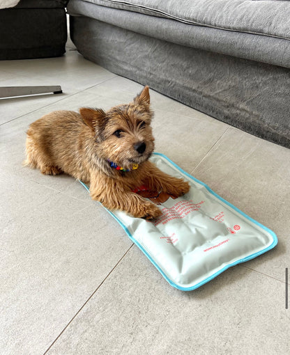 [毛孩涼浸浸]寵物防暑降溫冰墊 寵物用品