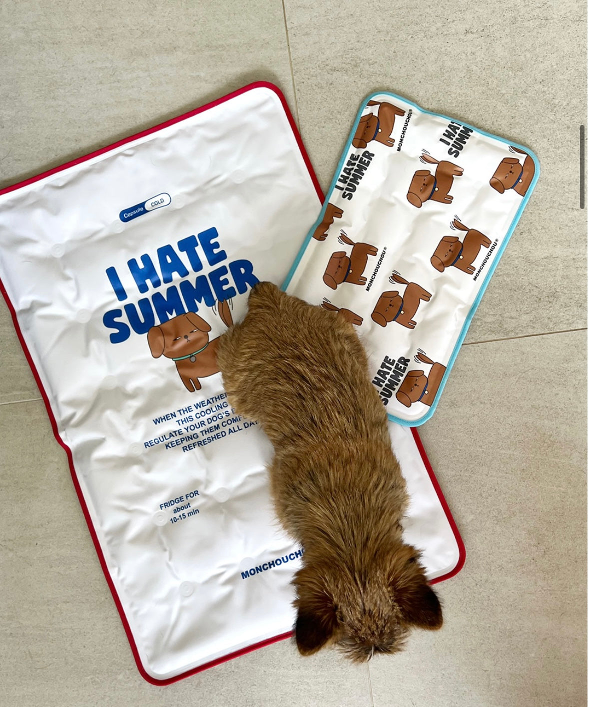 [毛孩涼浸浸]寵物防暑降溫冰墊 寵物用品