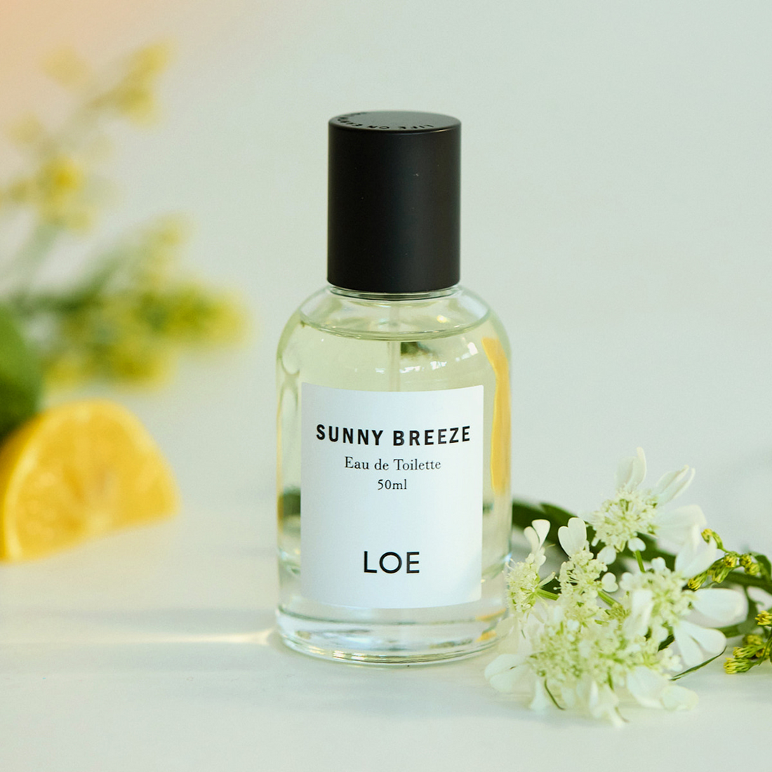 [田柾國同款!推薦WhiteShirt!]Loe香水50ml