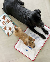 [毛孩涼浸浸]寵物防暑降溫冰墊 寵物用品