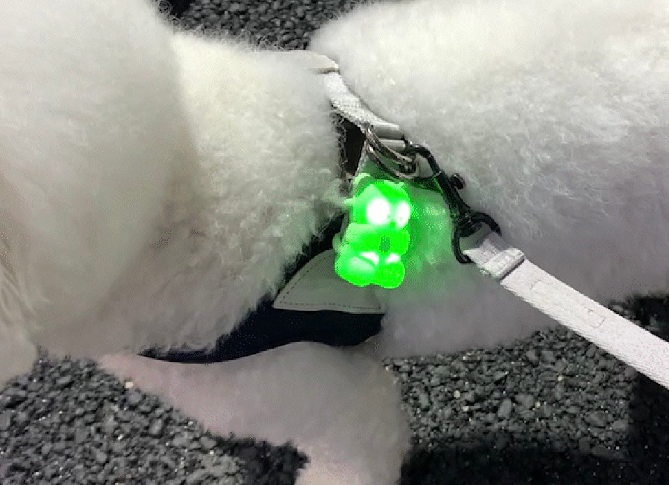 [毛孩!] LED夜燈Jelly Bear熊仔狗帶