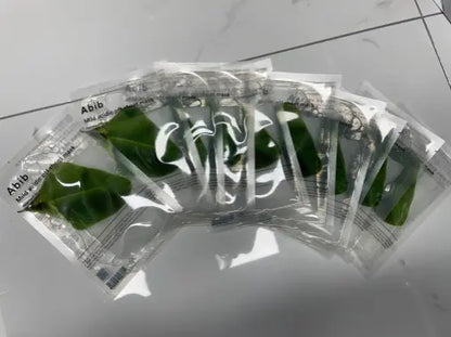 [熱門面膜]Abib弱酸性面膜5/10片裝