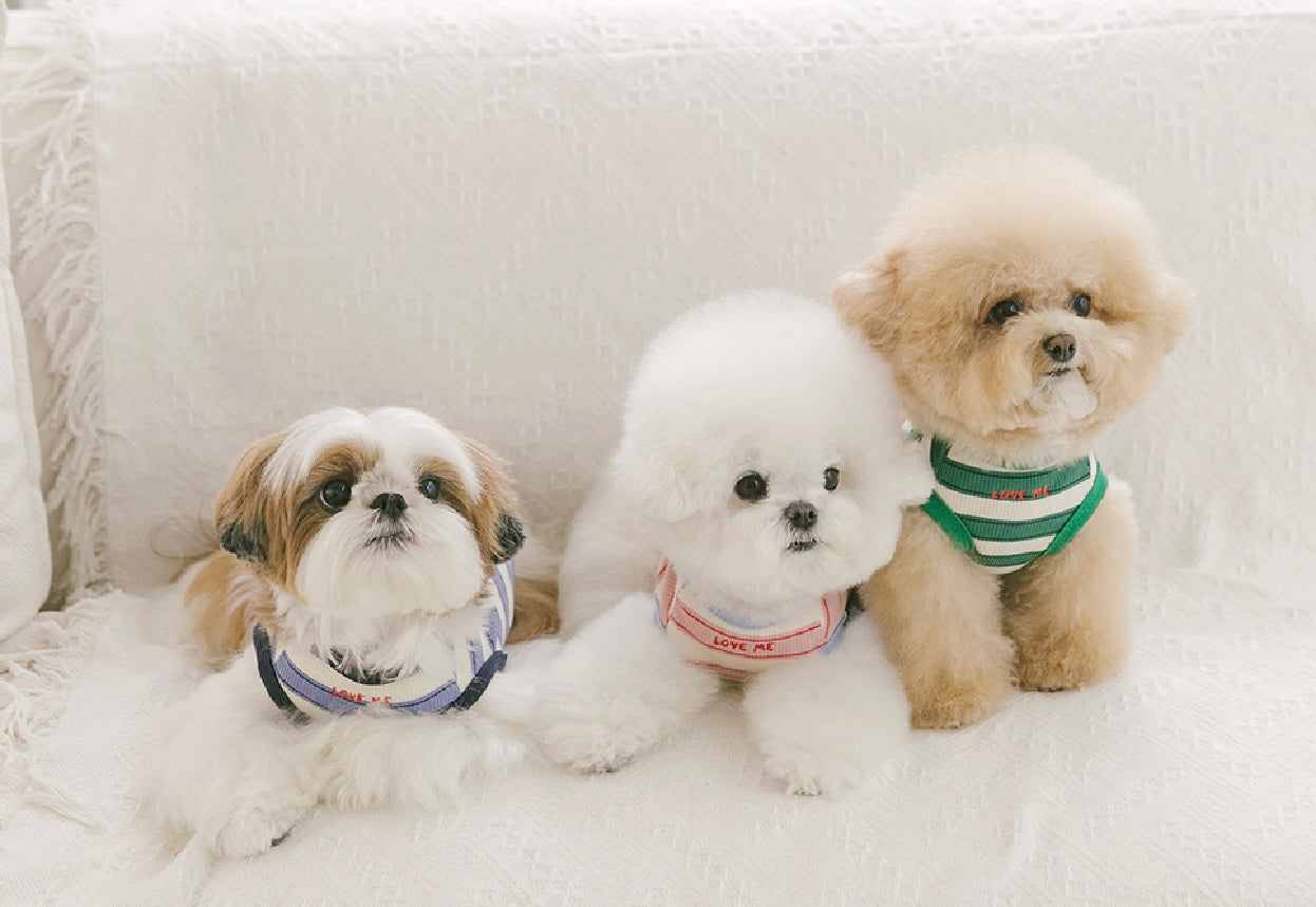 [毛孩!]小狗無袖背心衫