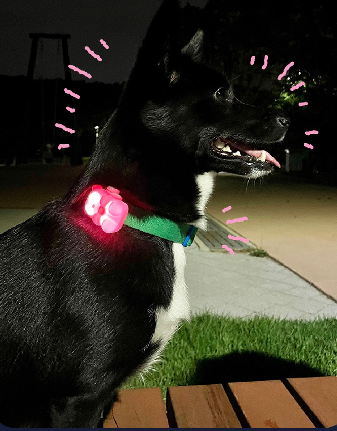 [毛孩!] LED夜燈Jelly Bear熊仔狗帶