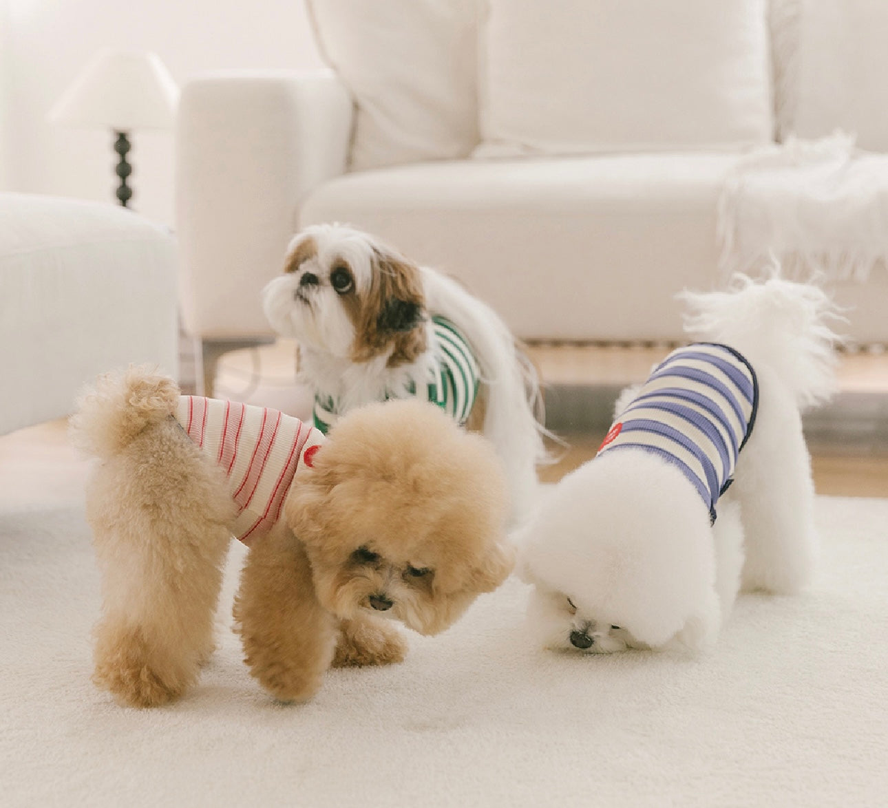 [毛孩!]小狗無袖背心衫