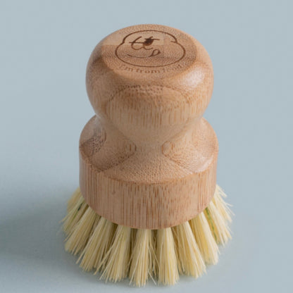 [安心實用]韓國清潔蔬果